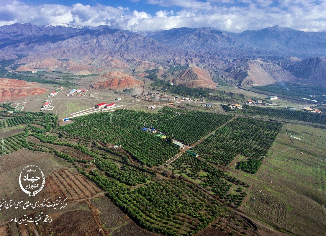 عکس مرکز