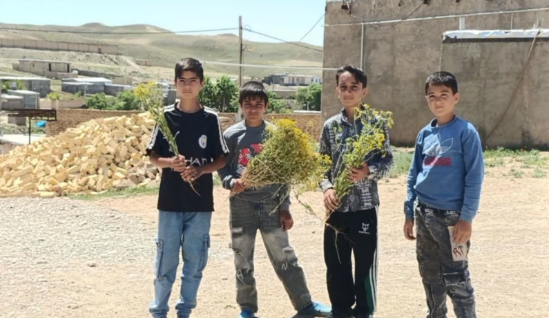 عکس