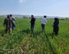 آغاز عملیات اجرایی "برنامه یاوران تولید" باحضور میدانی