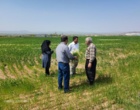 آغاز عملیات اجرایی "برنامه یاوران تولید" باحضور میدانی