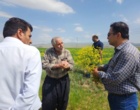 آغاز عملیات اجرایی "برنامه یاوران تولید" باحضور میدانی
