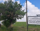 هم افزایی  علمی _تحقیقاتی  درمسیر تقویت همکاری های مشترک