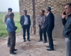 بازدید"شرکت صبا مرغ نوآوران زنجان" ازاراضی زراعی، سوله های کارگاهی و پخش فنی سیلاب ایستگاه تحقیقاتی، آموزشی وترویجی قره چریان