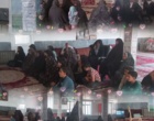 برگزاری دوره آموزشی و ترویجی تخصصی«اصول بهینه واقتصادی پرواربندی بره»درروستای«آزاد سفلی»