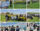 کارایی انواع سمپاش ها بر مهارگیاه مهاجم خردل برگ ‌مومی مزارع گندم دیم شهرستان های استان زنجان