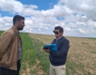 کارایی انواع سمپاش ها بر مهارگیاه مهاجم خردل برگ ‌مومی مزارع گندم دیم شهرستان های استان زنجان