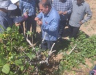 روزمزرعه«اصول وفنون پیوند درختان پسته» با تاکید برتبادل یافته های نوین تحقیقاتی، بربستردانش بومی باغداران پیشروواثربخشی آموزشی