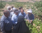 روزمزرعه«اصول وفنون پیوند درختان پسته» با تاکید برتبادل یافته های نوین تحقیقاتی، بربستردانش بومی باغداران پیشروواثربخشی آموزشی