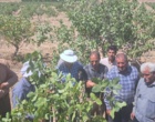 روزمزرعه«اصول وفنون پیوند درختان پسته» با تاکید برتبادل یافته های نوین تحقیقاتی، بربستردانش بومی باغداران پیشروواثربخشی آموزشی