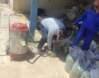 اتمام مرحله«برداشت علوفه و سیلو سازی»/اجرای طرح پژوهشی«کشت مخلوط نخود علوفه ای وجو قافلان دراراضی کم بازده»