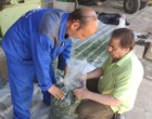 آغازاجرای طرح پایلوت تولید خوراک دام ازپسماند گوجه فرنگی/ عملیات سیلو سازی درایستگاه تحقیقات خیرآباد