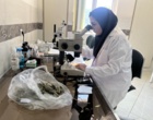 بازدید تخصصی بخش گیاهپزشکی مرکز تحقیقات کشاورزی زنجان/ ظرفیت های پژوهشی و زیرساختی آزمایشگاهی بررسی شد