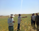 برگزاری روز مزرعه گلرنگ در روستای مجینه از توابع بوغداکندی شهرستان زنجان با حضور معاون پژوهش و فناوری مرکز تحقیقات