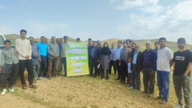 برگزاری روز مزرعه عدس دیم در روستای نصرت آباد خدابنده