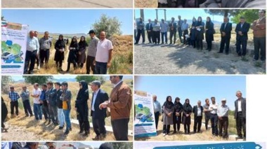 برگزاری روز مزرعه و کارگاه انتقال یافته های تحقیقاتی، در مزرعه پایگاه نوآوری ایستگاه تحقیقاتی قره چریان