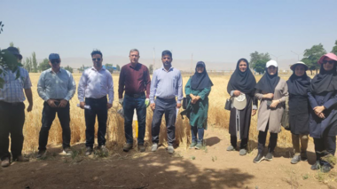 بازدید معاونت پژوهشی موسسه دیم کشور از ایستگاه های تحقیقاتی دیم خدابنده و خیرآباد