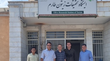 کارشناسان گروه برنامه‌ریزی خدمات و تولیدات فناورانه دفتر امور اقتصادی سازمان تات از ایستگاه تحقیقات زیتون طارم بازدید کردند.