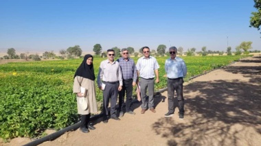 بازدید از طرح های پژوهشی حبوبات