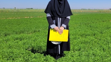 افتخاری دیگر برای مرکز تحقیقات و آموزش کشاورزی و منابع طبیعی استان  زنجان