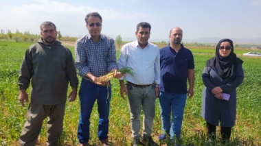 آغاز عملیات اجرایی "برنامه یاوران تولید" باحضور میدانی