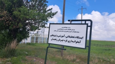 بازدیدشرکت صبا مرغ نوآوران زنجان ازایستگاه تحقیقاتی، آموزشی وترویجی قره چریان