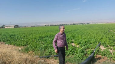 گام بلند مرکز تحقیقات زنجان برای افزایش بهره‌وری در تولید بذر لوبیا با استفاده از طرح‌های مشارکتی