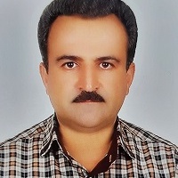 محمود محبی